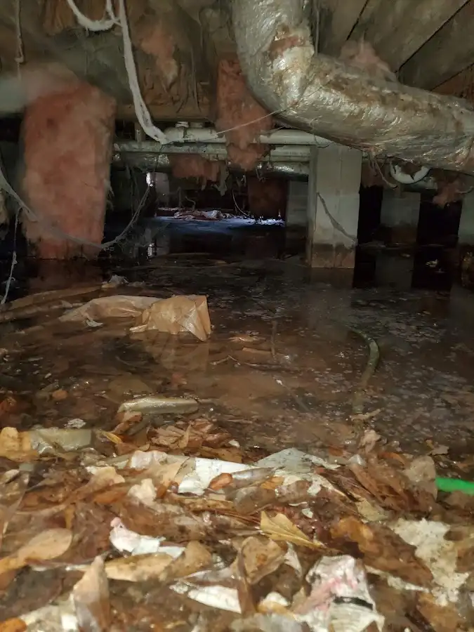 Crawl space flood assessment for Leak Detection & Repair in Clarinda